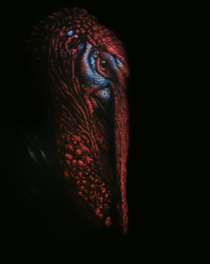 Oryginalny obraz olejny Barbary Kuchnowskiej, 