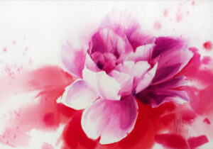 Akwarela Kariny Jaźwińskiej na papierze bawełnianym. Malarstwo florystyczne przedstawiające różowy kwiat piwonii z delikatnymi, rozmytymi plamami koloru na białym tle. Dynamiczna i świeża akwarela, dostępna w ofercie internetowej galerii sztuki Galeria Wiele Sztuki.