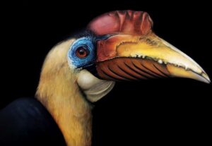 Obraz olejny Barbary Kuchnowskiej przedstawiający dzioborożca hełmiastego. Realistyczny portret egzotycznego ptaka z profilu, z charakterystycznym czerwonym hełmem i żółtym dziobem, na jednolitym, czarnym tle. Malarstwo animalistyczne dostępne w ofercie internetowej galerii sztuki Galeria Wiele Sztuki.