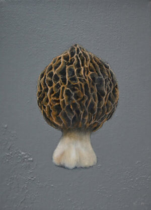 Galeria Wiele Sztuki, mały obrazek autorstwa Klaudii Choma w technice mieszanej, przedstawiający grzybka smardza