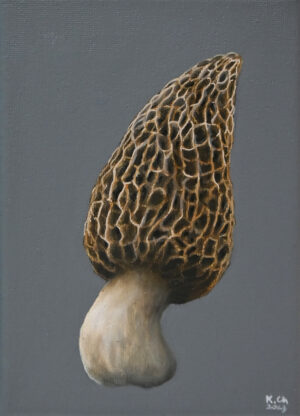 Galeria Wiele Sztuki, mały obrazek autorstwa Klaudii Choma w technice mieszanej, przedstawiający grzybka smardza