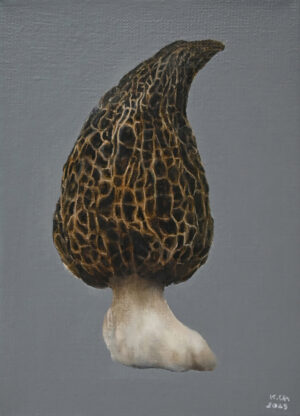 Galeria Wiele Sztuki, mały obrazek autorstwa Klaudii Choma w technice mieszanej, przedstawiający grzybka smardza