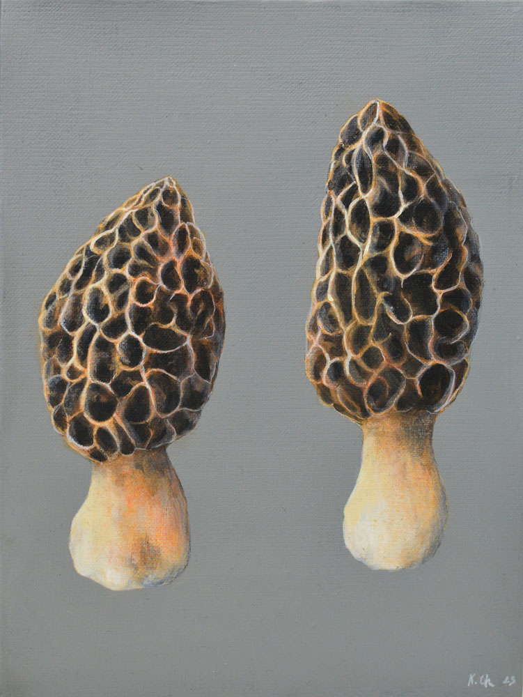 Galeria Wiele Sztuki, obraz w technice mieszanej przedstawiający grzyby smardze 