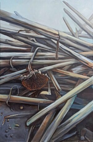 Galeria Wiele Sztuki, obraz olejny przedstawiający uschnięte słoneczniki na polu