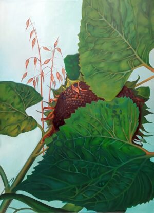 Galeria Wiele Sztuki, obraz olejny przedstawiający kwiatostan słonecznika, częściowo zasłonięty przez liście