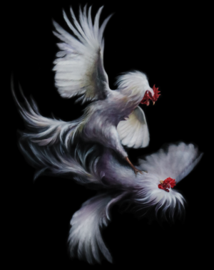 Malarskie przedstawienie zaciętej walki kogutów. Dwa białe ptaki z czerwonymi grzebieniami toczą pojedynek na tle ciemnego tła. Obraz charakteryzuje się dużą dynamiką i dbałością o detale. Obraz dostępny w galerii wiele Sztuki.