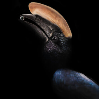 Realistyczny obraz przedstawiający egzotycznego ptaka z gatunku dzioborożców, zagrożonego wyginięciem. Widoczne intensywne kolory i bogactwo detali. Wydruk artystyczny na podstawie oryginalnego obrazu olejnego dostępny w Galerii Wiele Sztuki.