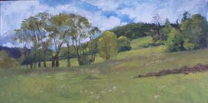 Galeria Wiele Sztuki, Obraz olejny „Pejzaż Harendy” (2025) autorstwa Małgorzaty Jakieły. Poziomy, malarski pejzaż przedstawiający zielone, pagórkowate wzgórze z grupą drzew, pod błękitnym niebem z białymi chmurami. Styl obrazu jest swobodny i ekspresyjny, charakterystyczny dla malarstwa plenerowego. Galeria on-line, sztuka współczesna, najlepsze polskie obrazy.